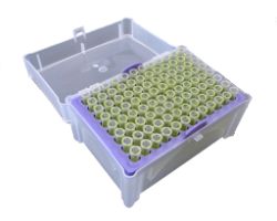 2-200ul MicroPette Universal Tips, Yellow Color, Rack 10 x 96 (960)