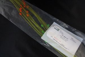 2-Stop Solvent Resistant Pump Tubing, org-grn, 0.38 mm, 12 Pack 