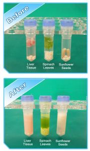 BeadBlaster™ Microtube Homogenizer, 115V