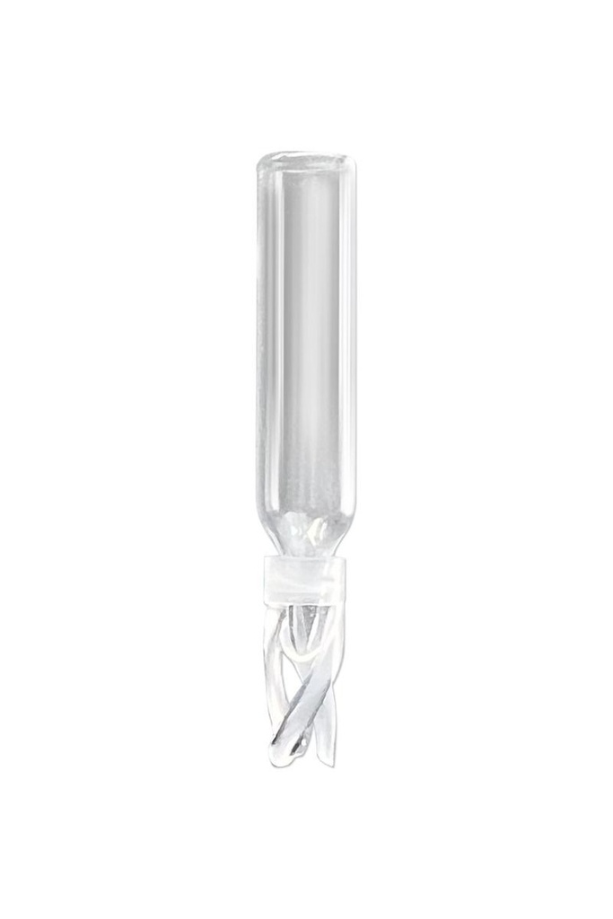 Silanized - 250µL Glass Big Mouth Conical Limited Volume Insert, 6x29mm, Precision-Formed Mandrel Interior, w/Bottom Spring, 100/pk