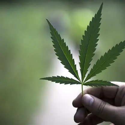 QC CRM, Quantitative Pesticides, in Edible