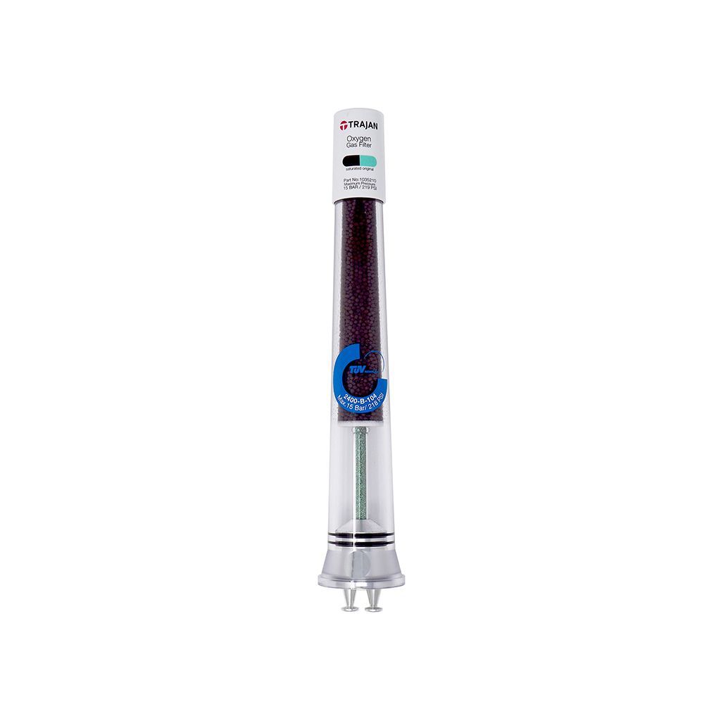 Gas Filter - Oxygen