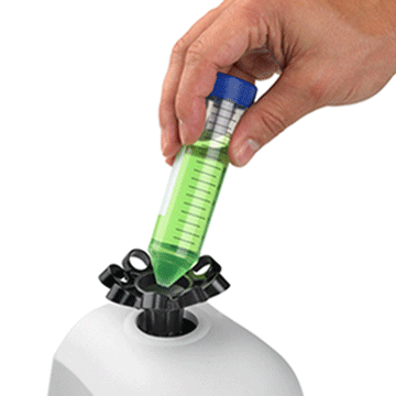 Mortexer™  Vortexer 115V