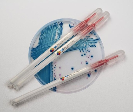 A. terreus Snap-Stick™ NRRL 255