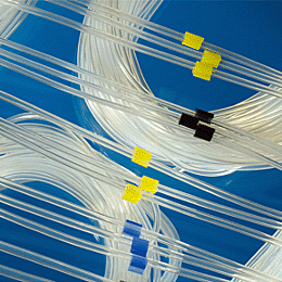 [4062-210] 2-Stop Silicone Pump Tubing, org-blu, 0.25 mm, 6 Pack 