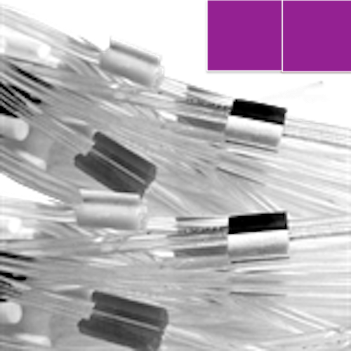 [4062-481F] Flared 2-Stop Standard PVC Pump Tubing, pur-pur, 2.06 mm, 12 Pack 